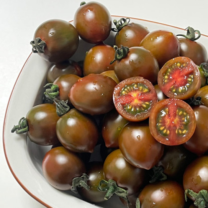 [GAP인증]대저 흑대추방울토마토 1kg